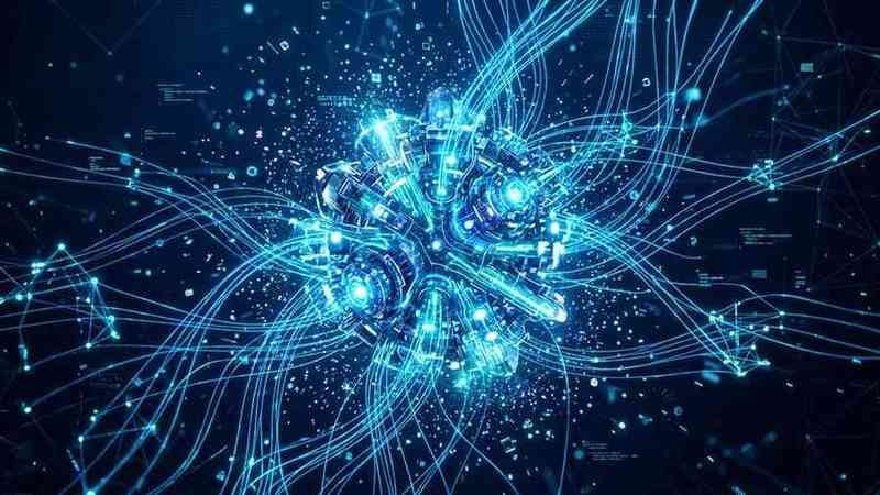 Phins IQ 3D Neural Core Visual